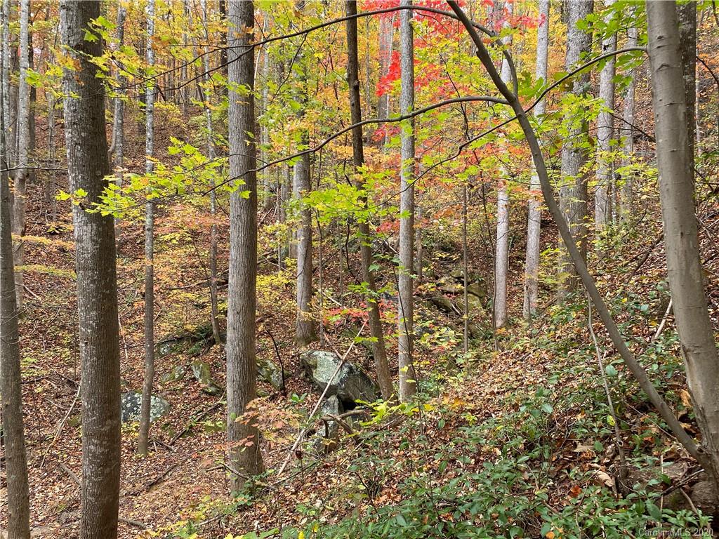 Property image 1 at 000 Grey Rock Parkway, Lake Lure, NC 28746