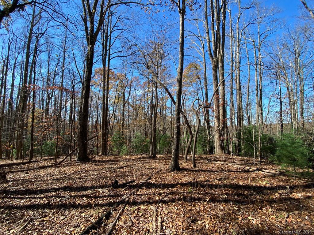 Property image 1 at Tbd Steel Creek Road, Brevard, NC 28712