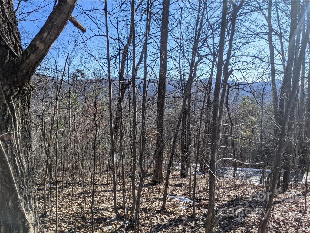 Property image 1 at Lot 24 Bald Eagle Drive, Hendersonville, NC 28792