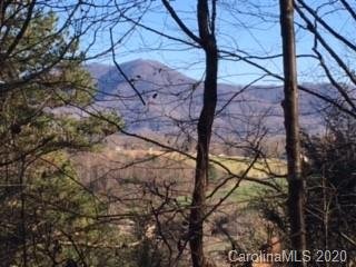 Property image 1 at 37 38 Turkey Hollow Court, Waynesville, NC 28785