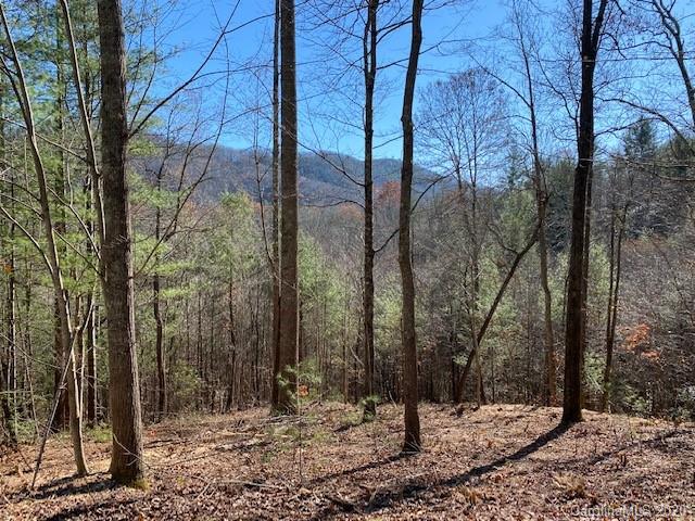 Property image 1 at 0000 Silverglen Way, Hendersonville, NC 28792
