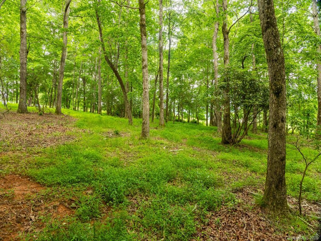Property image 1 at Lot 5 Turkey Ridge Road, Fletcher, NC 28732