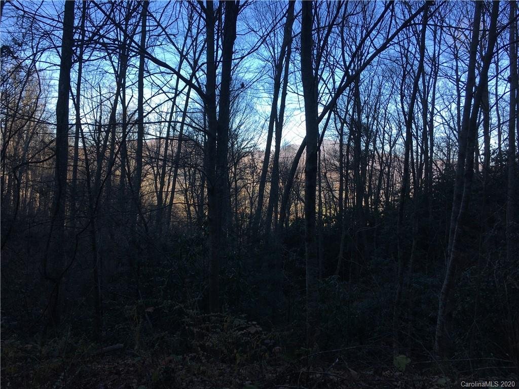 Property image 1 at Lot 58 Frank Davis Road, Waynesville, NC 28785