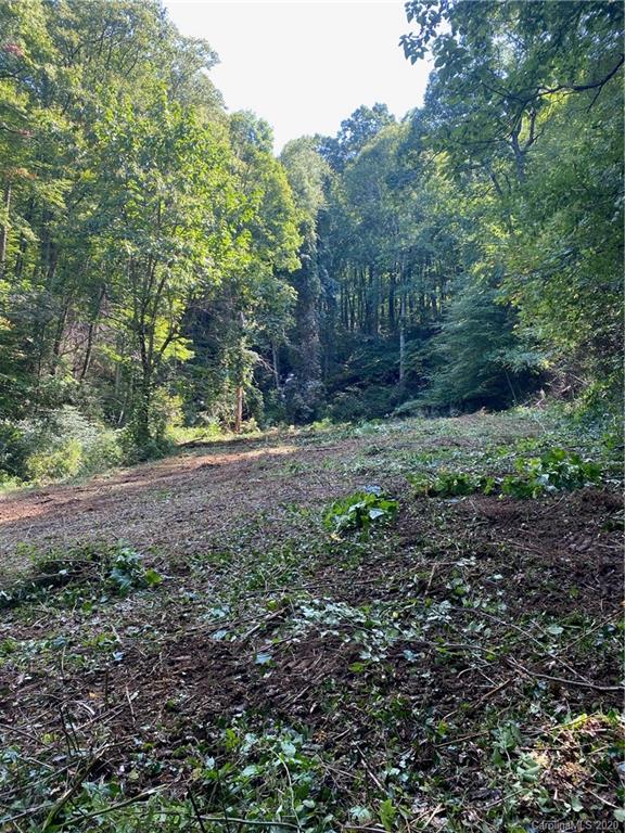 Property image 1 at 9999 Lytle Cove Road, Swannanoa, NC 28778