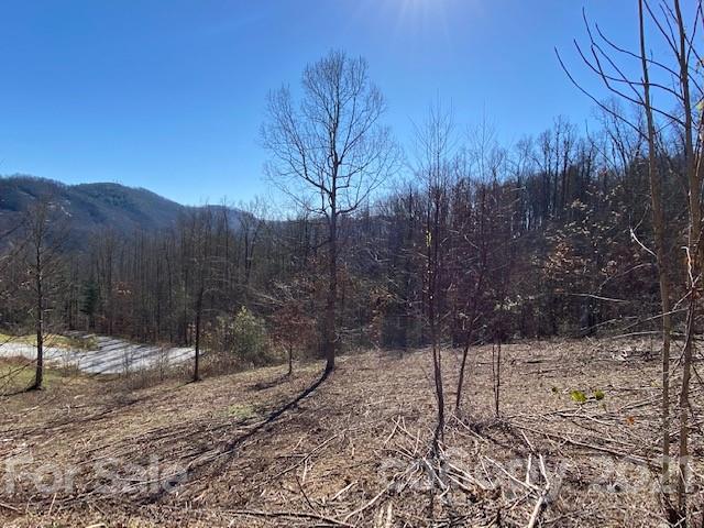 Property image 1 at 0000 Glen Haven Cove, Hendersonville, NC 28792