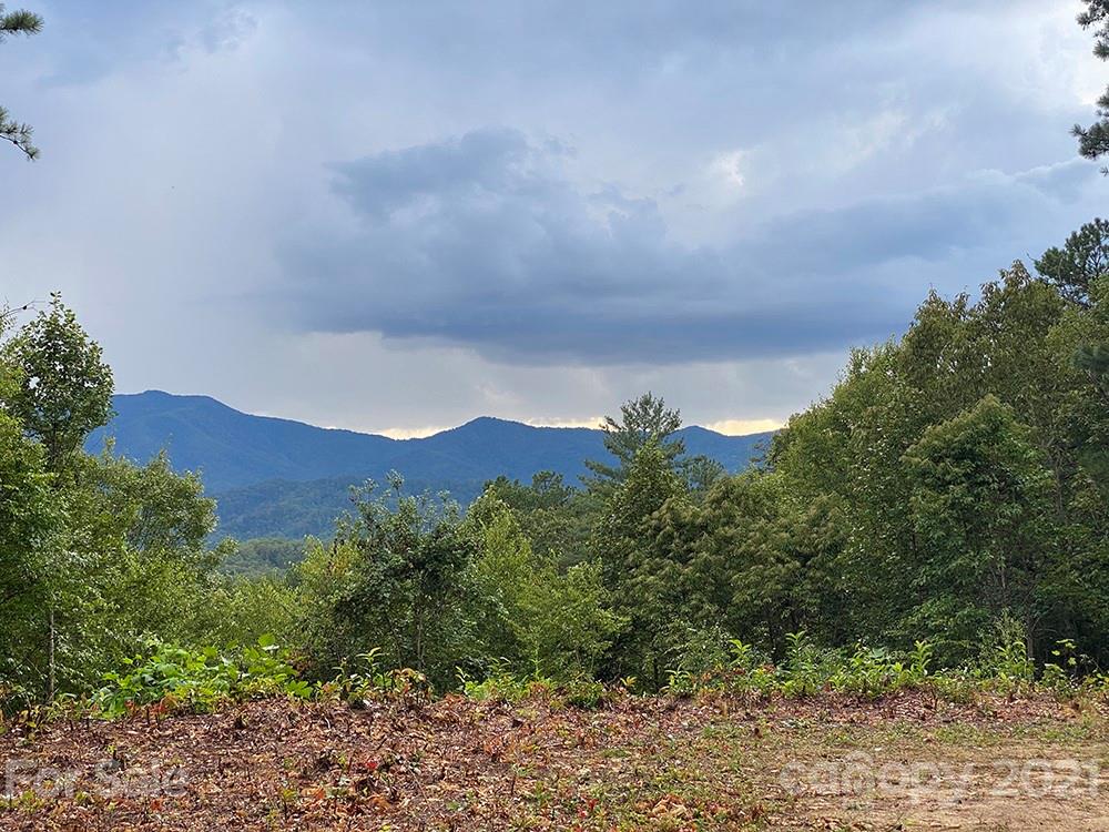 Property image 1 at 507 Wood Duck Way, Whittier, NC 28789