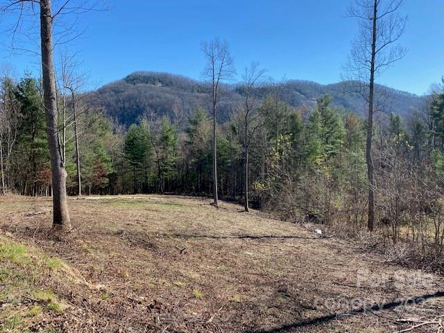 Property image 1 at 0000 Silverglen Way, Hendersonville, NC 28792