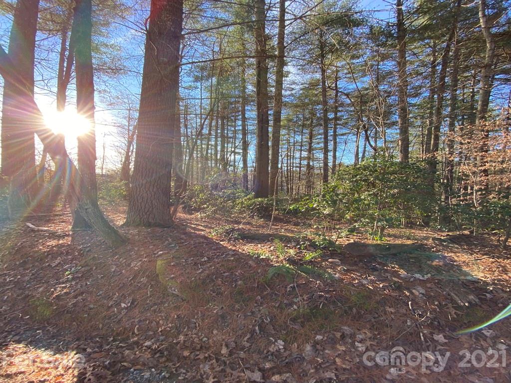 L 4 Canvasback Court