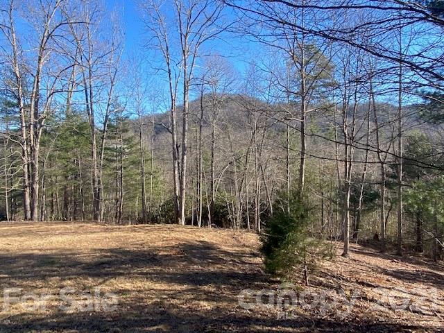 Property image 1 at 0000 Silverglen Way, Hendersonville, NC 28792