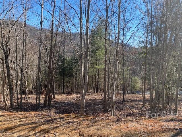 Property image 1 at 0000 Pebble Stone Trail, Hendersonville, NC 28792