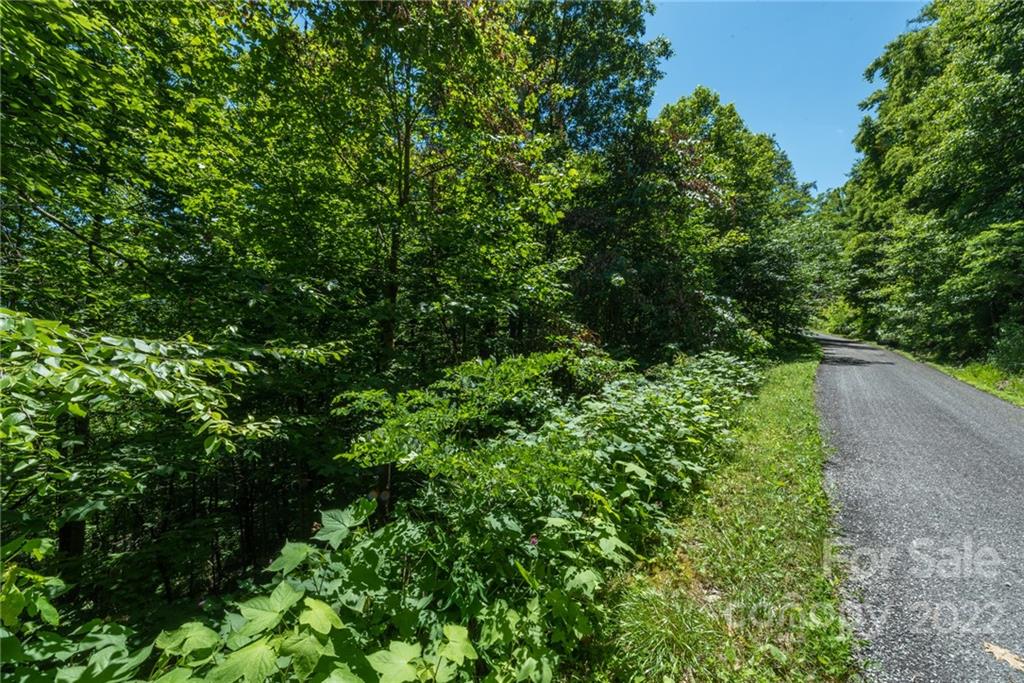 Property image 1 at 9 Wood Haven Lane, Black Mountain, NC 28711