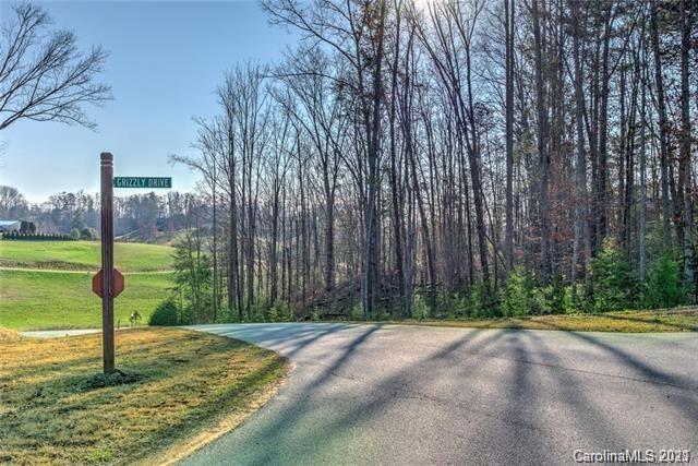 Property image 1 at 18 Grizzly Drive, Leicester, NC 28748