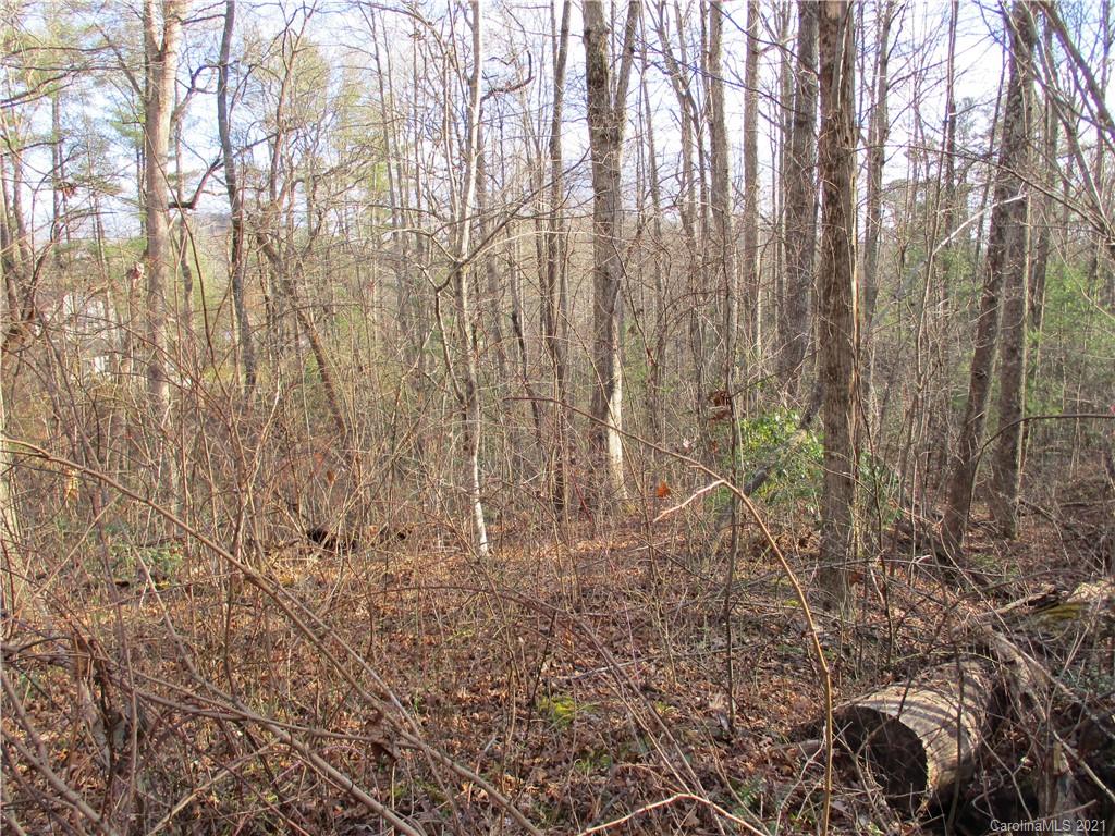 Property image 1 at Tbd Burge Mountain Road, Hendersonville, NC 28791