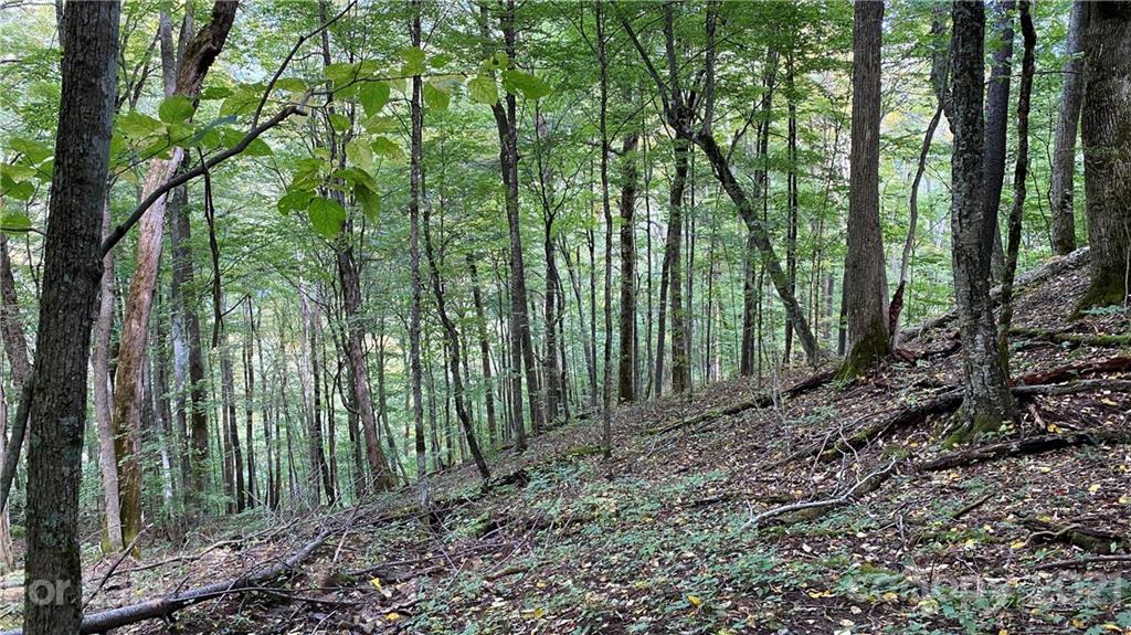 Property image 1 at 167 Puncheon Lane, Mars Hill, NC 28754