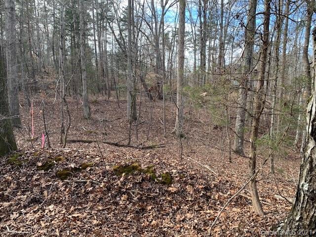 Property image 1 at Lot 42 Sardis Court, Iron Station, NC 28080