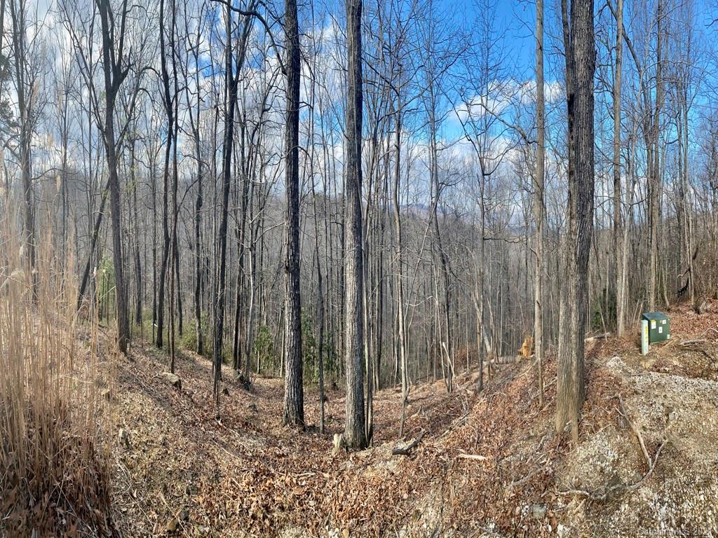 Property image 1 at Lot 44 Table Rock Road, Saluda, NC 28773