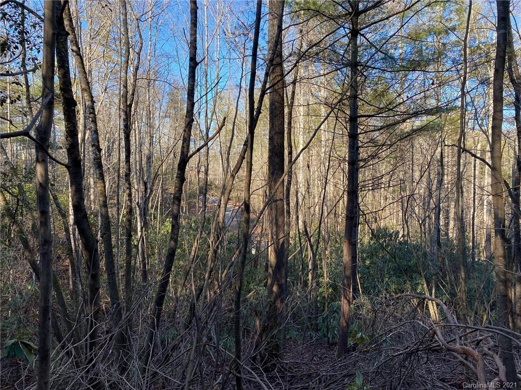 Property image 1 at Lot 306 Old Spring Road, Brevard, NC 28712