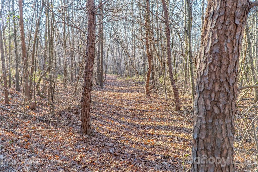 Property image 1 at 00 Lyndsey Brooke Court, Lincolnton, NC 28092