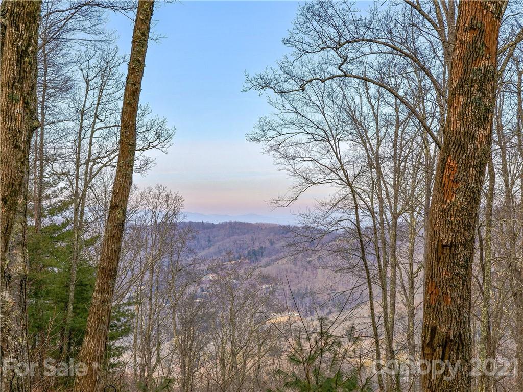 Property image 1 at 38 Mt Meadows Boulevard, Asheville, NC 28804