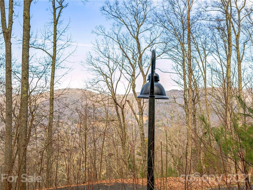 Property image 1 at 52 Mt Meadows Boulevard, Asheville, NC 28804