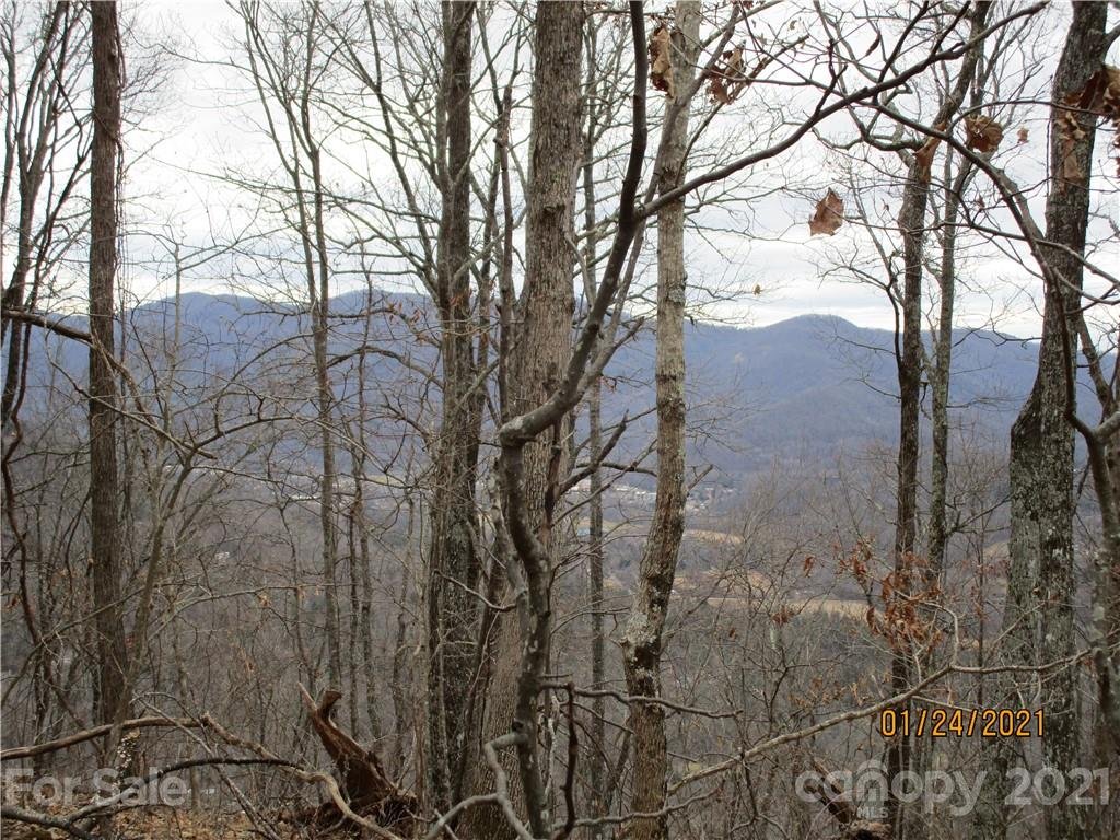 Property image 1 at 00000 Bee Tree Road, Swannanoa, NC 28778