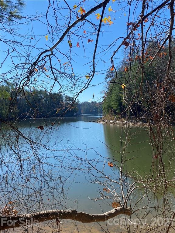 365 Big Tree Way None