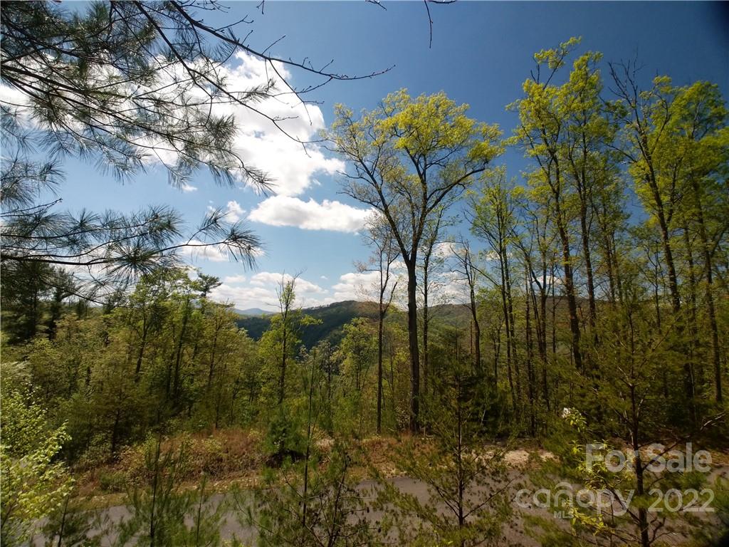 Property image 1 at Lot 133 Bear River Lodge Trail, Marshall, NC 28753