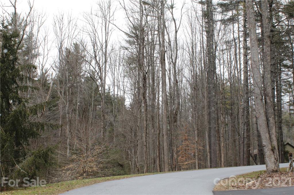 Lot 39 Mountain Brook Trail