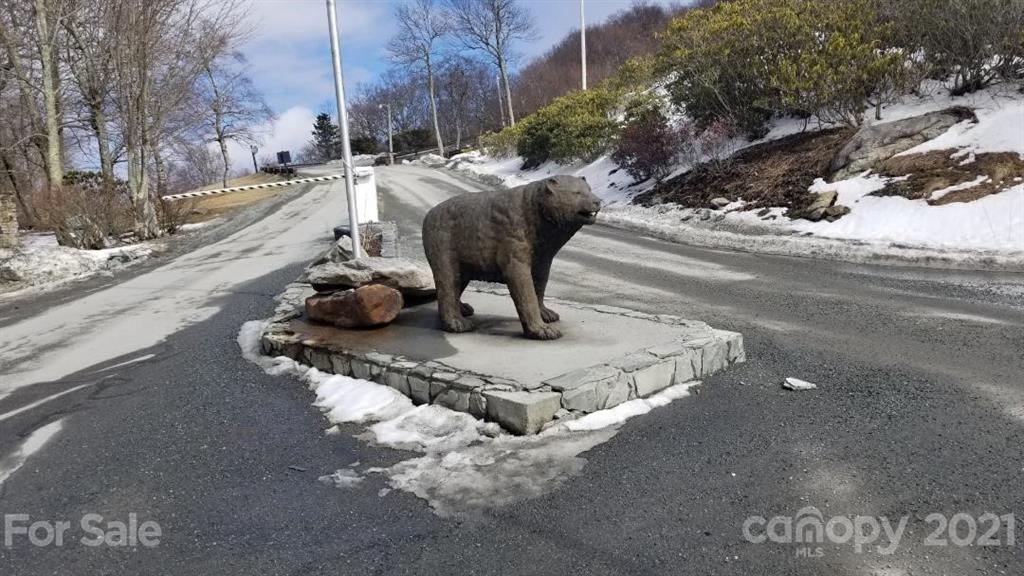 Property image 1 at 303 Sugar Top Drive, Sugar Mountain, NC 28604