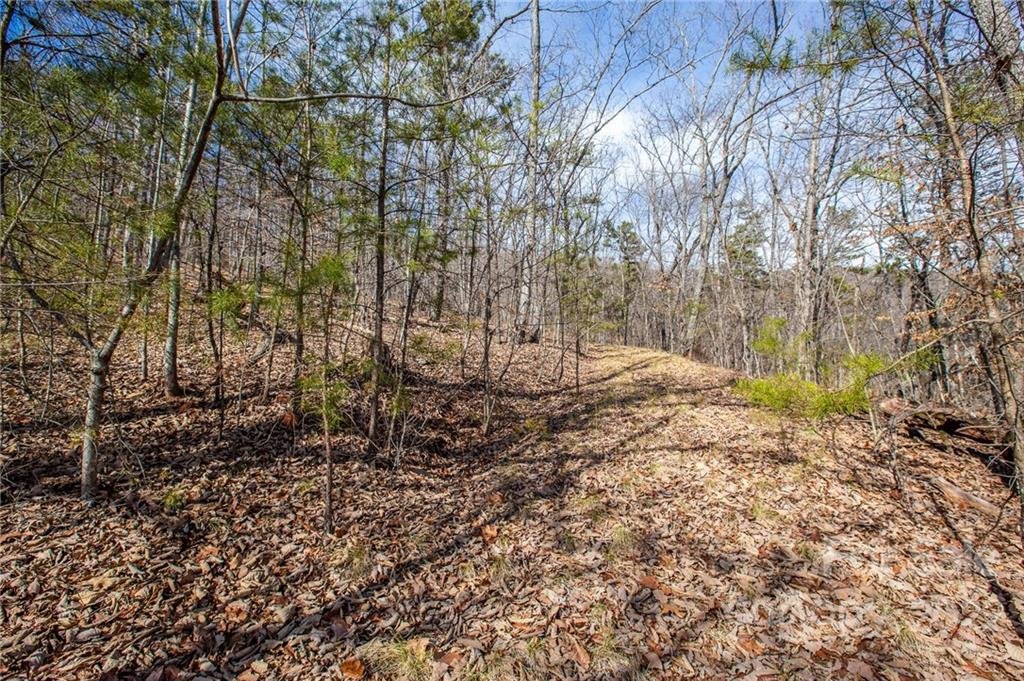 Property image 1 at 0 Squirrel Hill Road, Union Mills, NC 28167