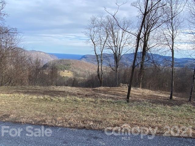 Property image 1 at 0000 Grand Oaks Drive, Hendersonville, NC 28792