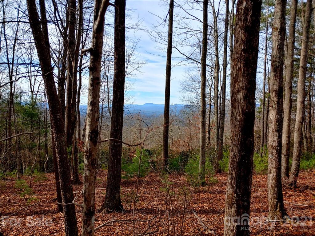 Property image 1 at 0 Reserve Drive, Pisgah Forest, NC 28768