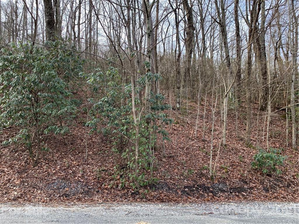 Property image 1 at Lot 615 616 Melrose Mountain Road, Tryon, NC 28782