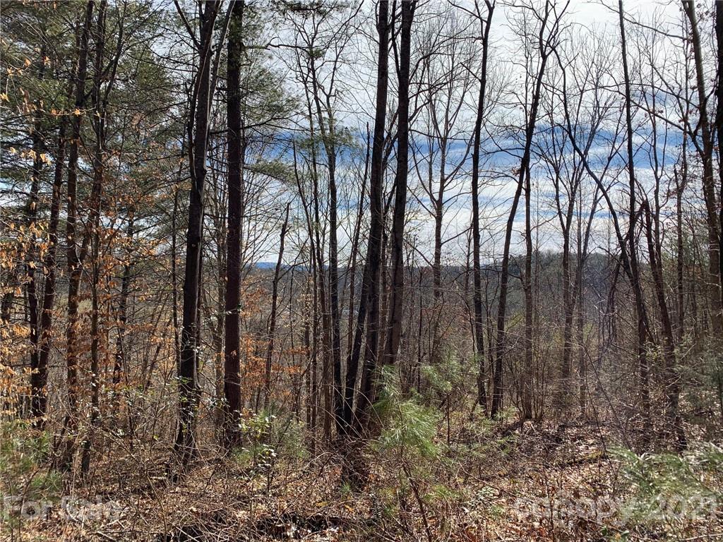 Property image 1 at 12 Willow Knoll Drive, Weaverville, NC 28787