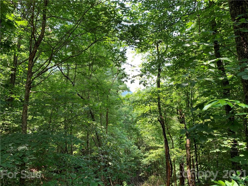 Property image 1 at 647 White Water Way, Marshall, NC 28753