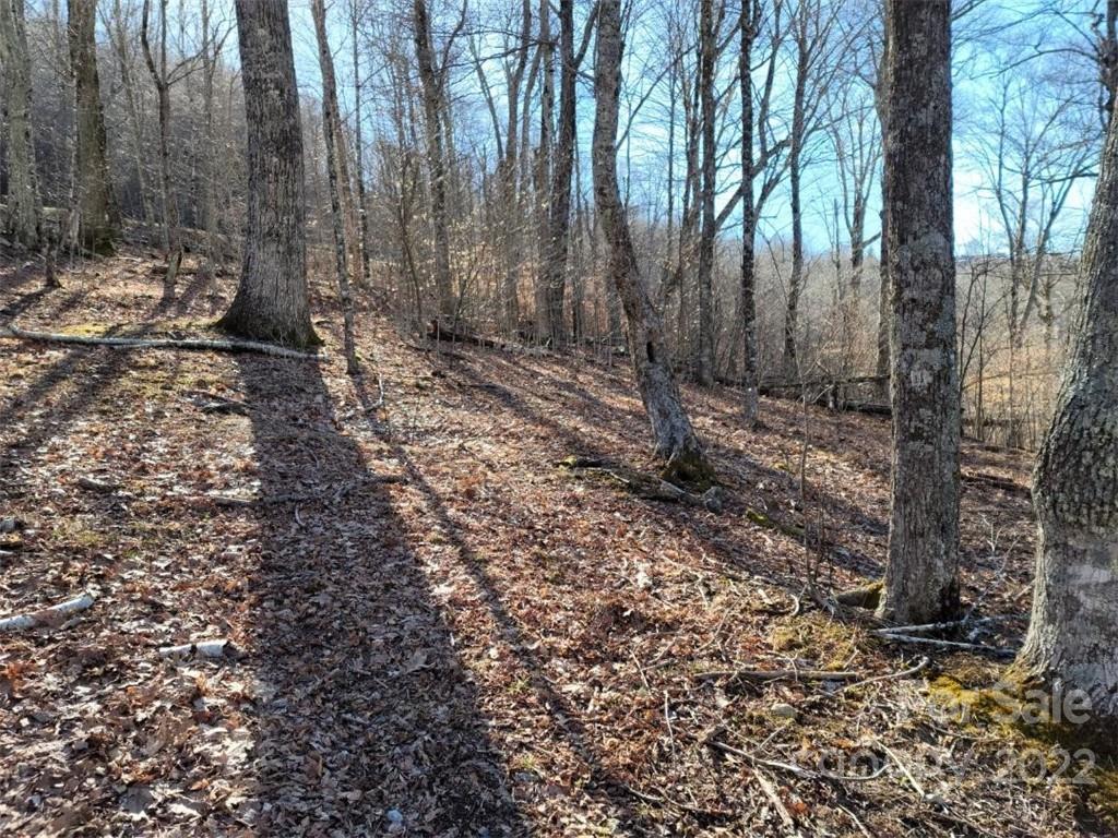 Property image 1 at 17 Zebulon Lane, Mars Hill, NC 28754