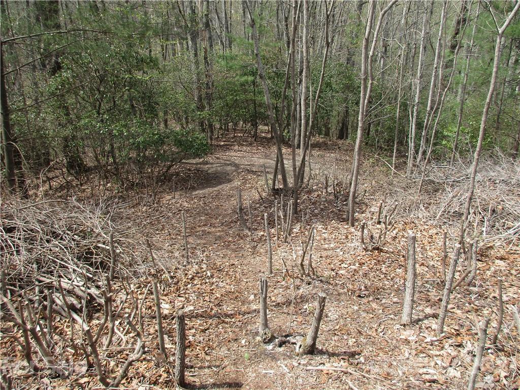 Property image 1 at 00 Sunny Ridge Road, Hendersonville, NC 28739