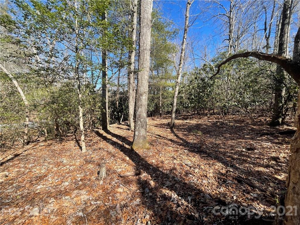 Property image 1 at Tbd Walnut Ridge Road, Brevard, NC 28712