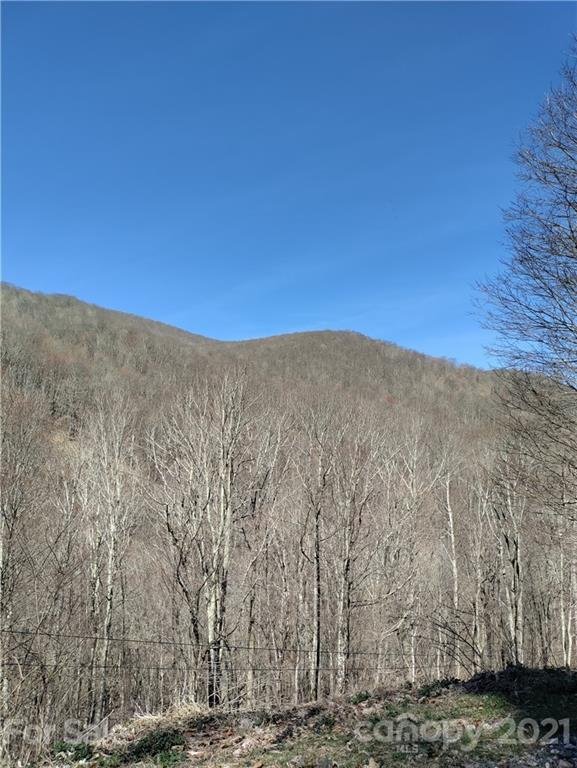 Property image 1 at 199 Weaver Lane, Mars Hill, NC 28754