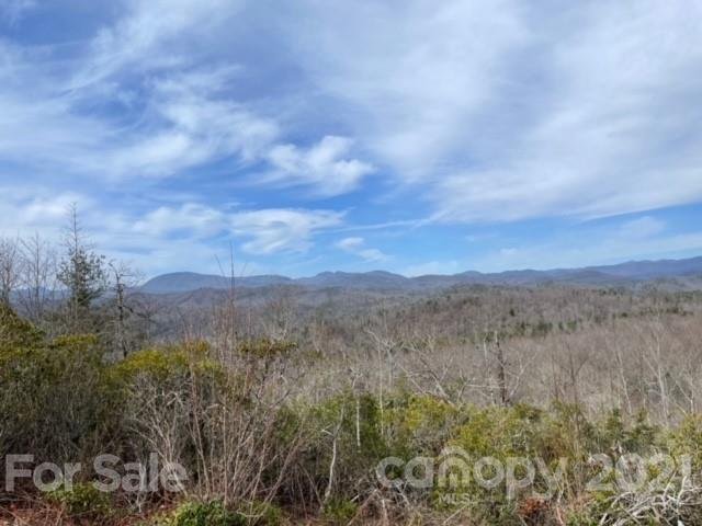 Tbd Panther Run Road