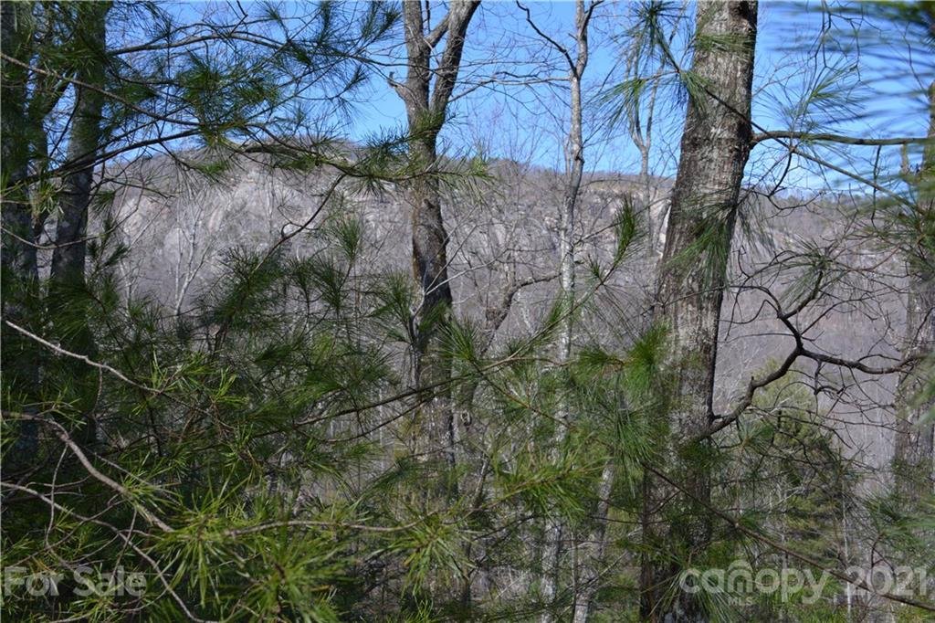 Property image 1 at 0 Mintwood Court, Lake Lure, NC 28746