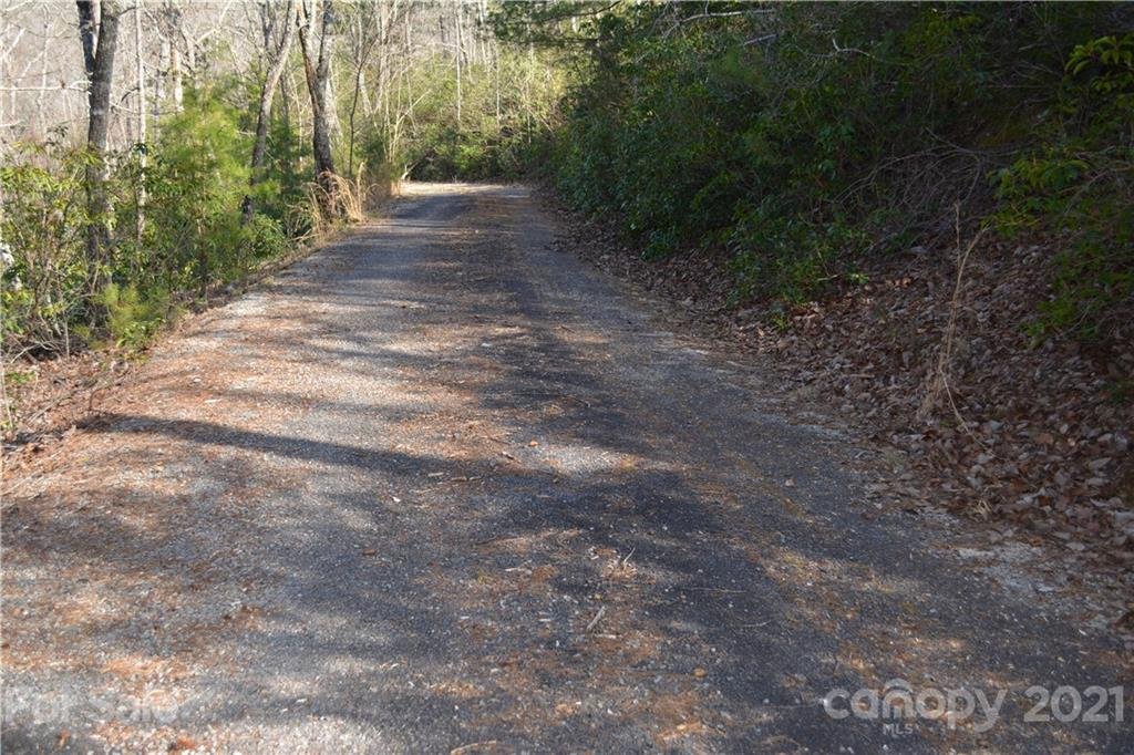 Property image 1 at 0 Mintwood Court, Lake Lure, NC 28746