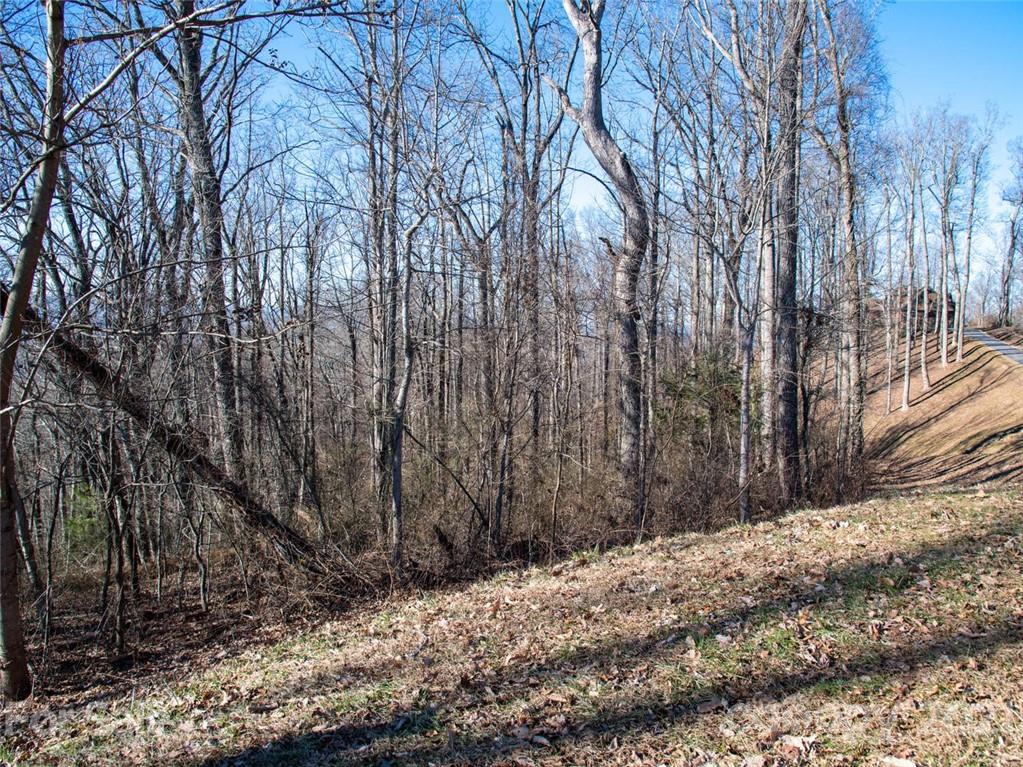 Property image 1 at 138 Old Forest Drive, Asheville, NC 28803