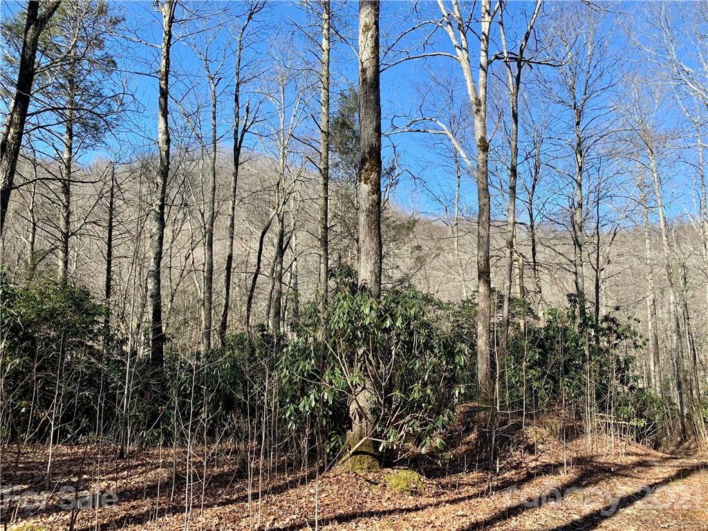 Property image 1 at 00 Golden Trout Drive, Spruce Pine, NC 28777