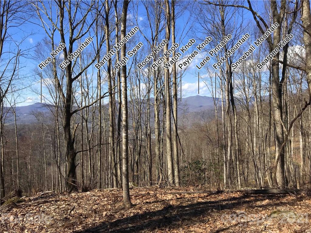 Property image 1 at 1016 Moss Creek Lane, Swannanoa, NC 28778