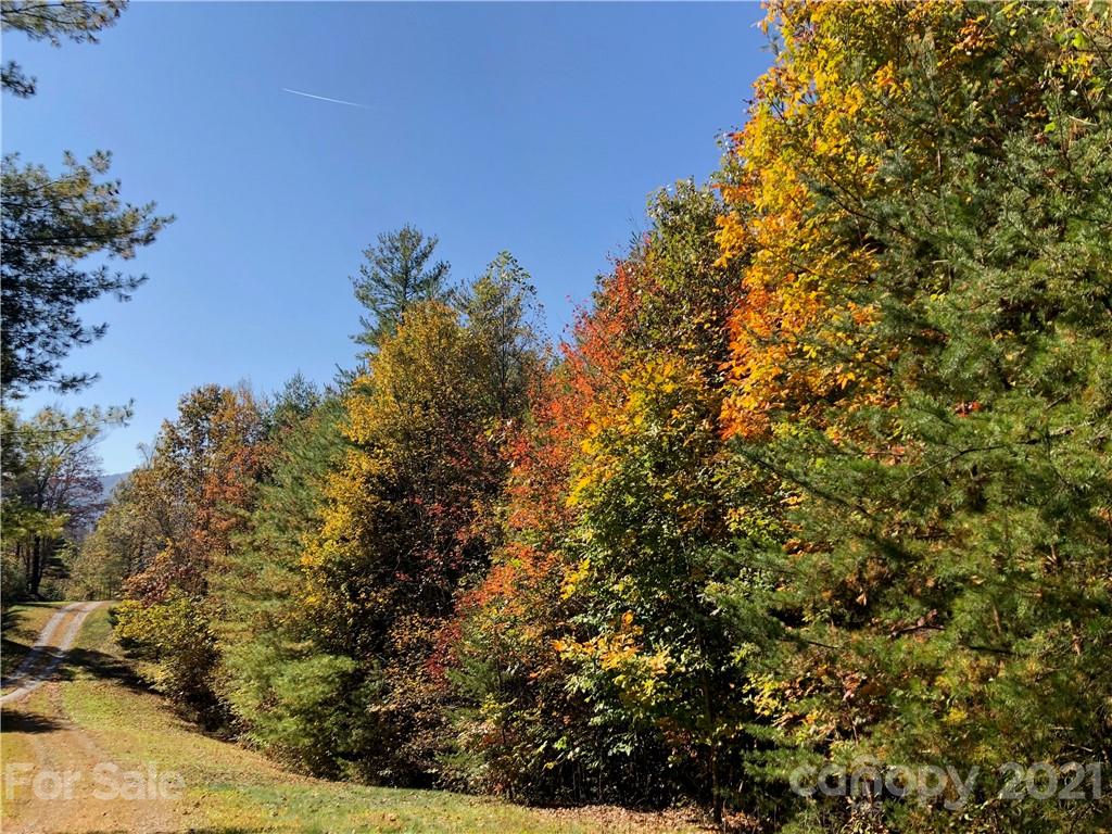 Property image 1 at 281 Wild Iris Lane, Marshall, NC 28753