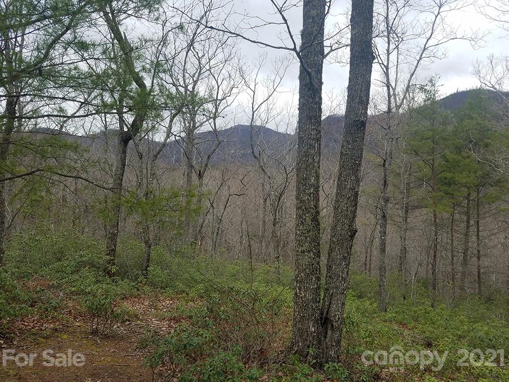 Property image 1 at 3 E Garden Lane, Lake Lure, NC 28746