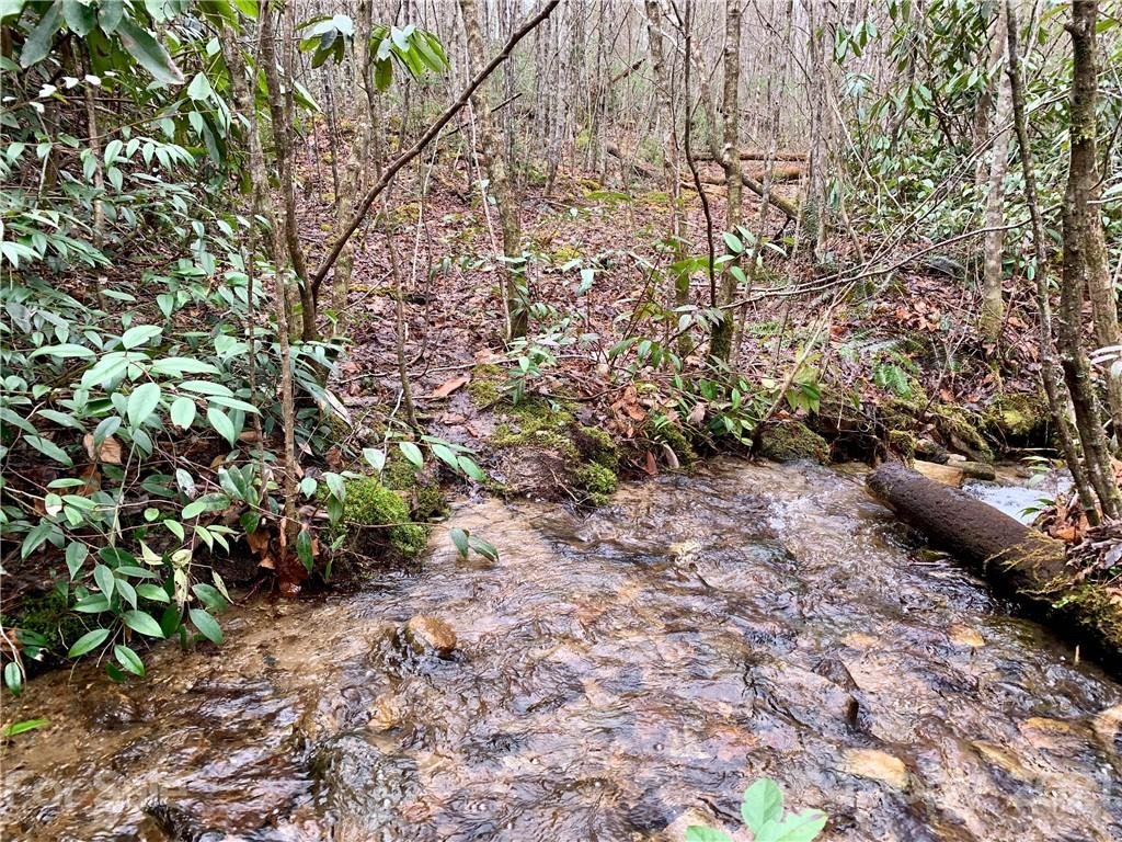 Property image 1 at Lot 65 Peppervine Circle, Rosman, NC 28772