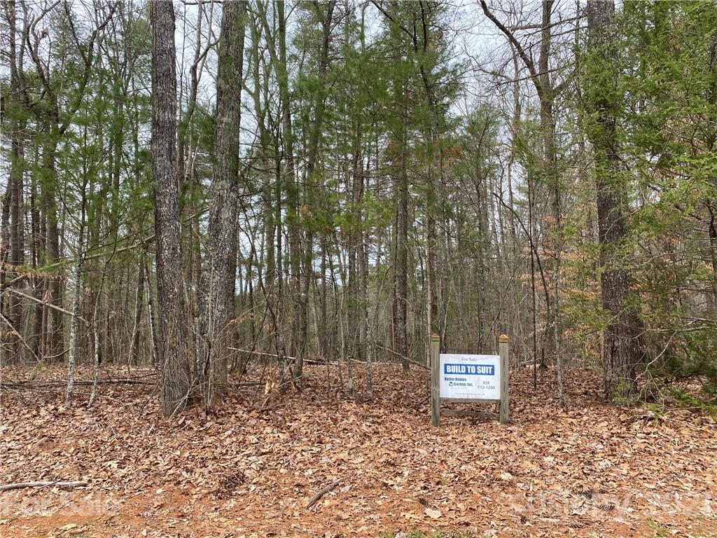 Property image 1 at Lot 21 Settlers Trail, Mars Hill, NC 28754