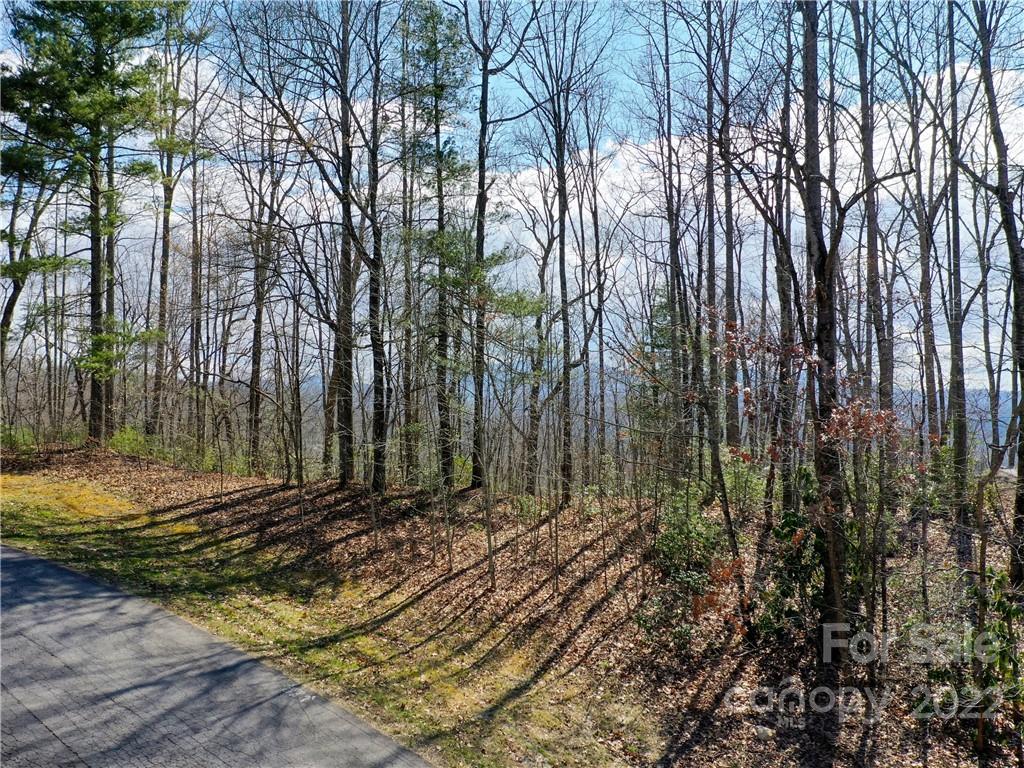 Property image 1 at 168 Rambling Trail, Hendersonville, NC 28739